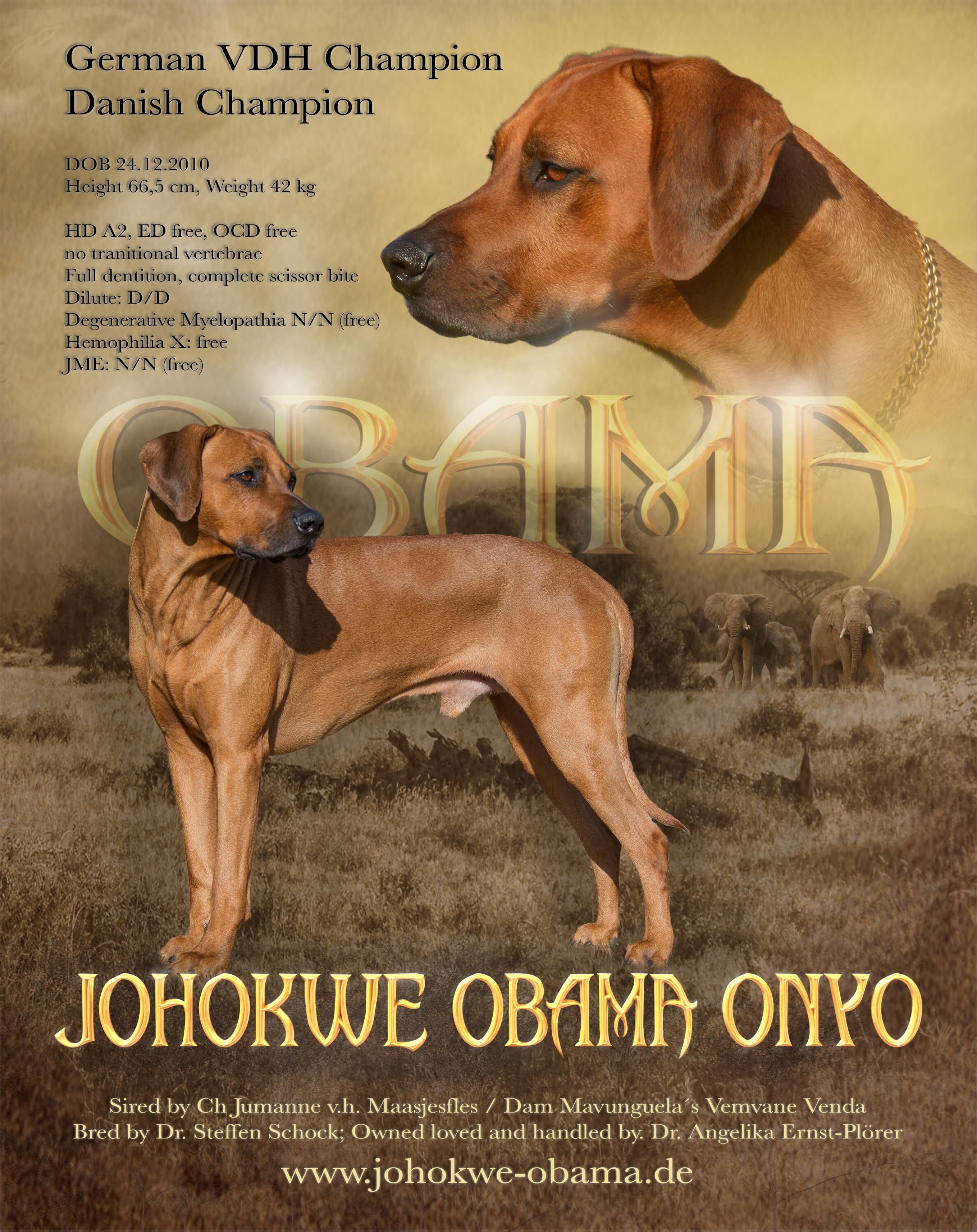 Bild laden 12937_collageobama2017.jpeg