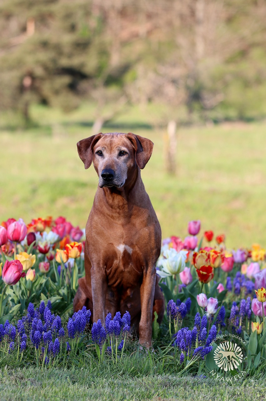 Bild laden 13026_IMG_7837.jpeg