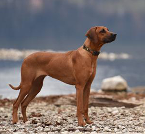 Bild laden 15027_DSC_7757.jpg