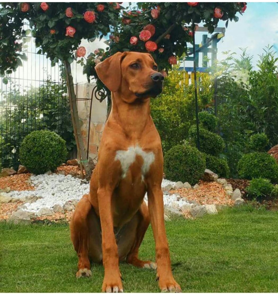 Bild laden 16935_Screenshot_20240425_090551_Instagram.jpg