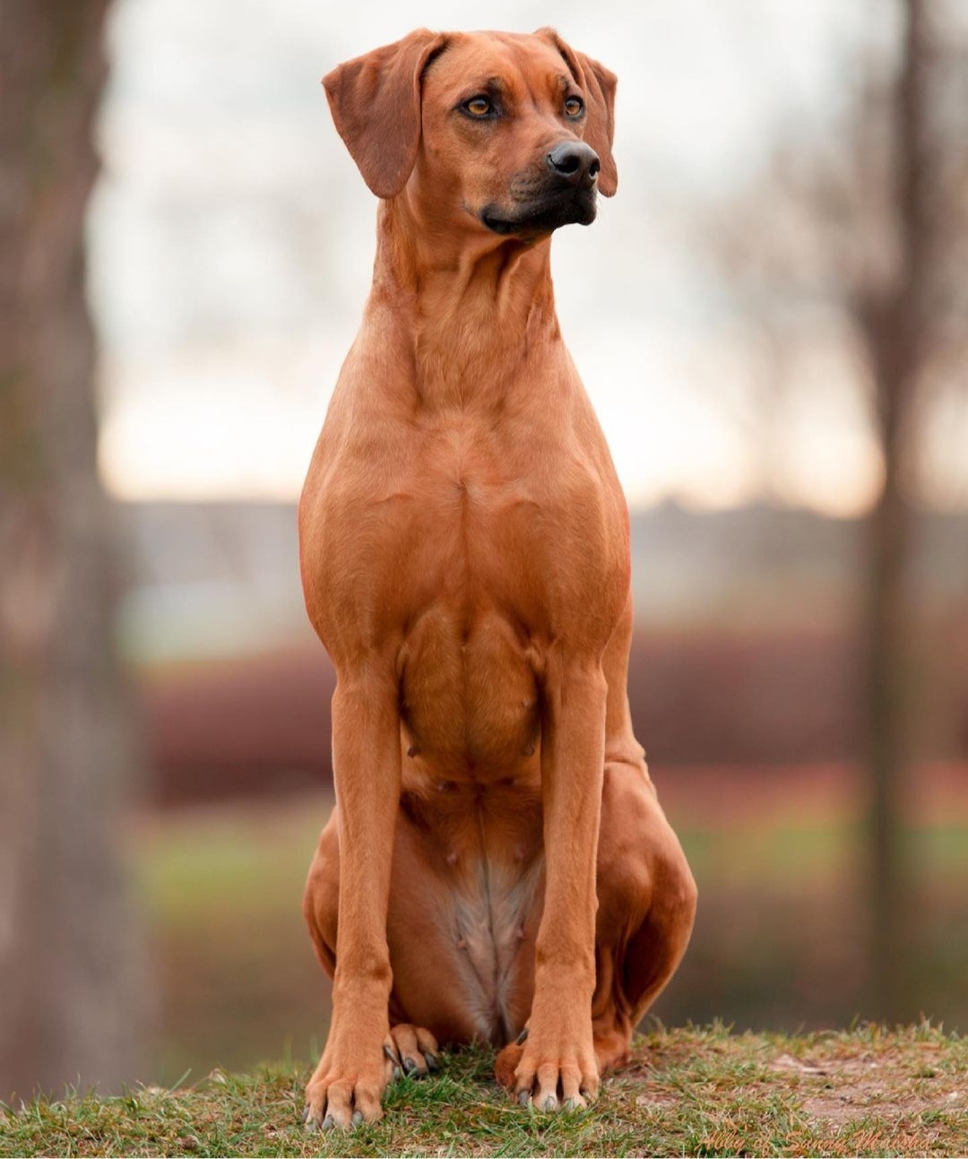 Bild laden 19219_Screenshot_20220116204031_Instagram.jpg