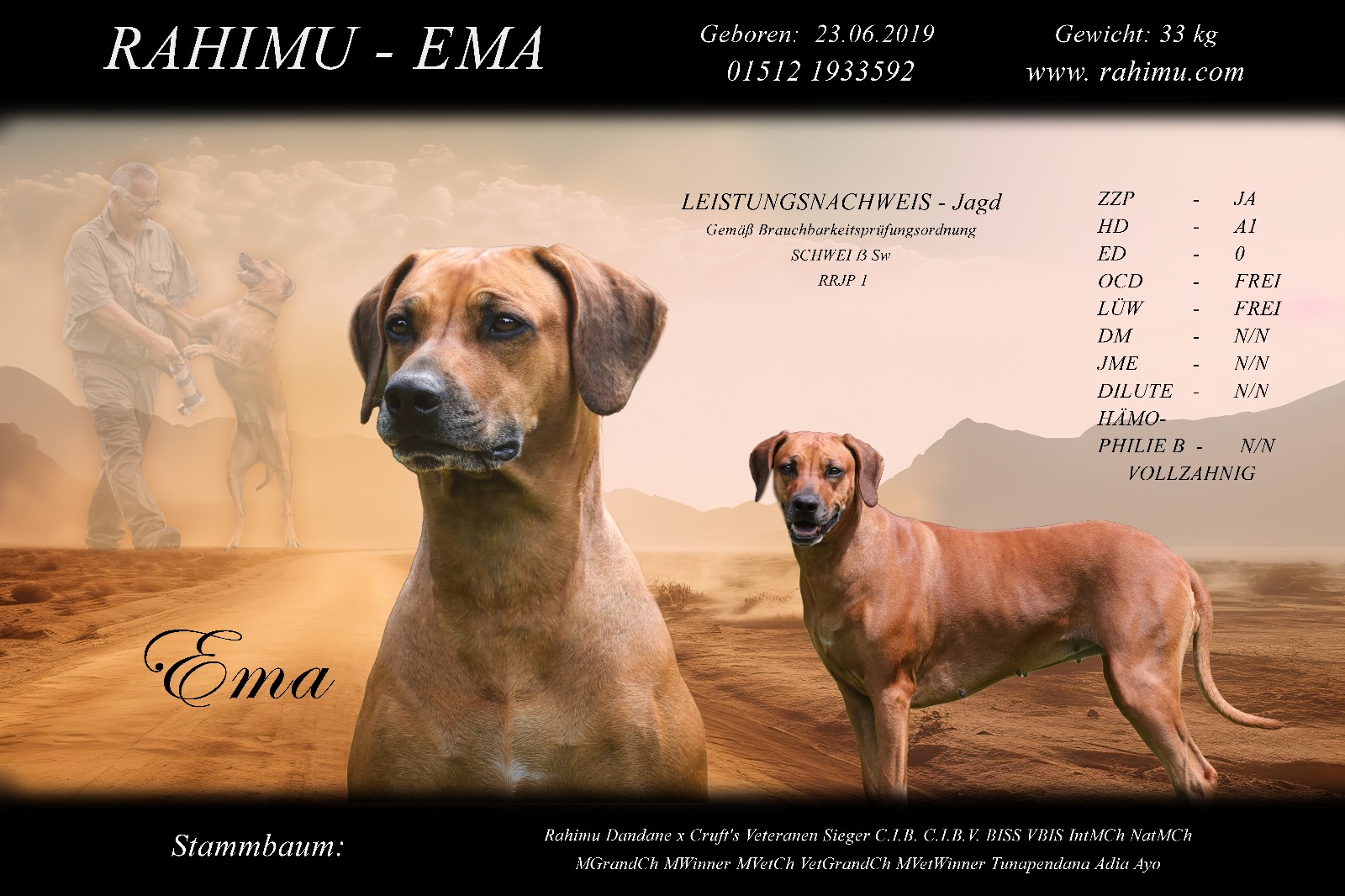 Bild laden 19727_IMG20240221WA0051.jpg