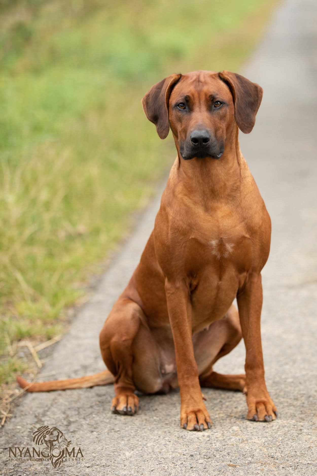 Bild laden 20421_FB_IMG_1753886422064.jpg