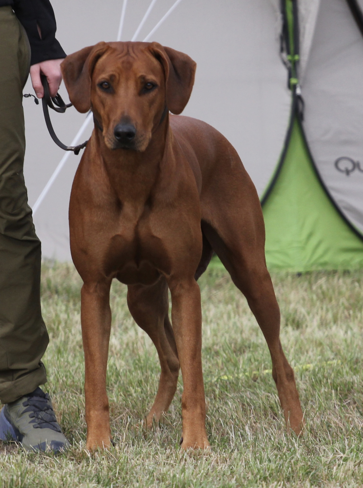 Bild laden 20442_IMG_E6607_2.JPG