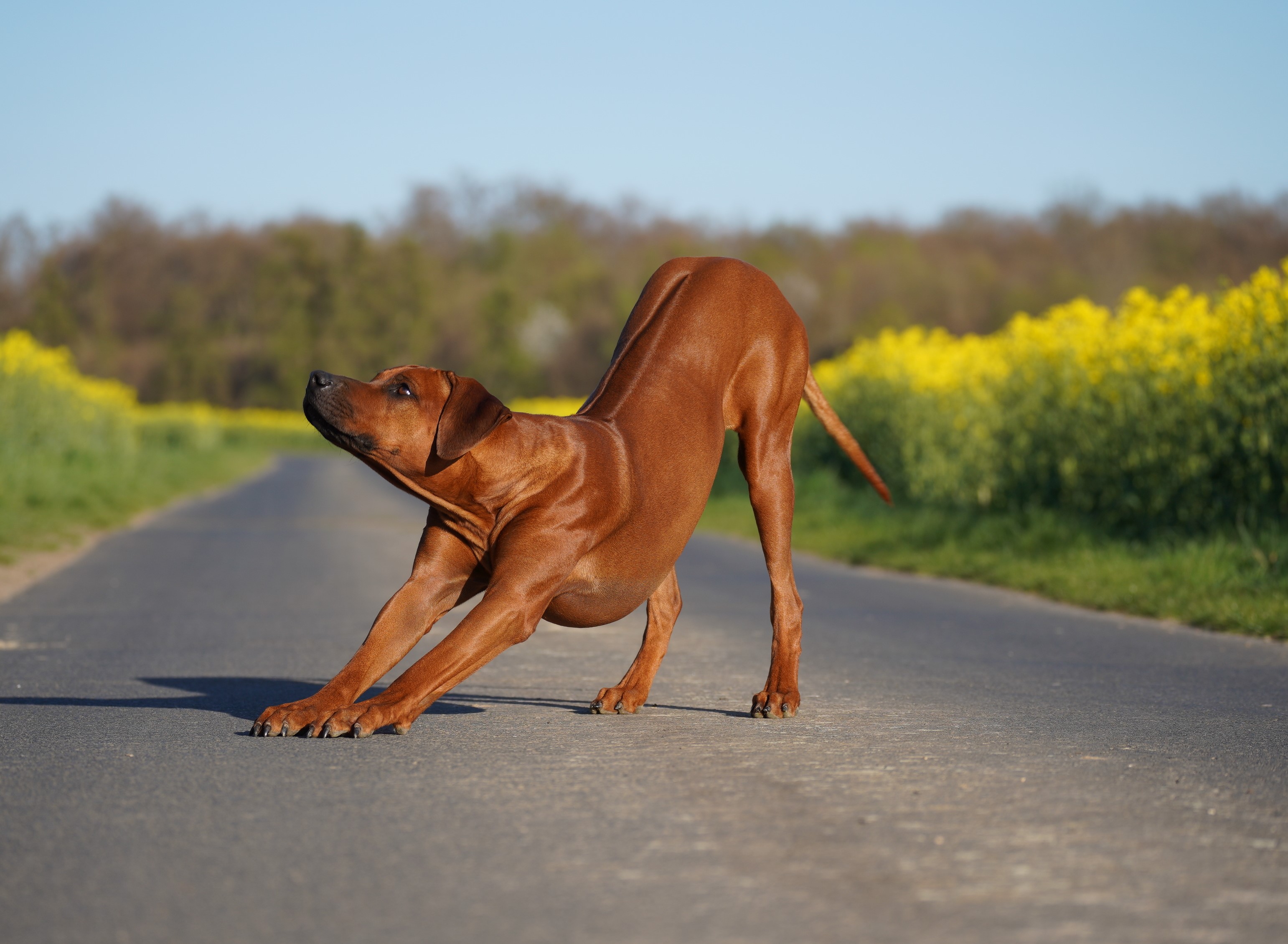 Bild laden 21178_DSC040982.JPG