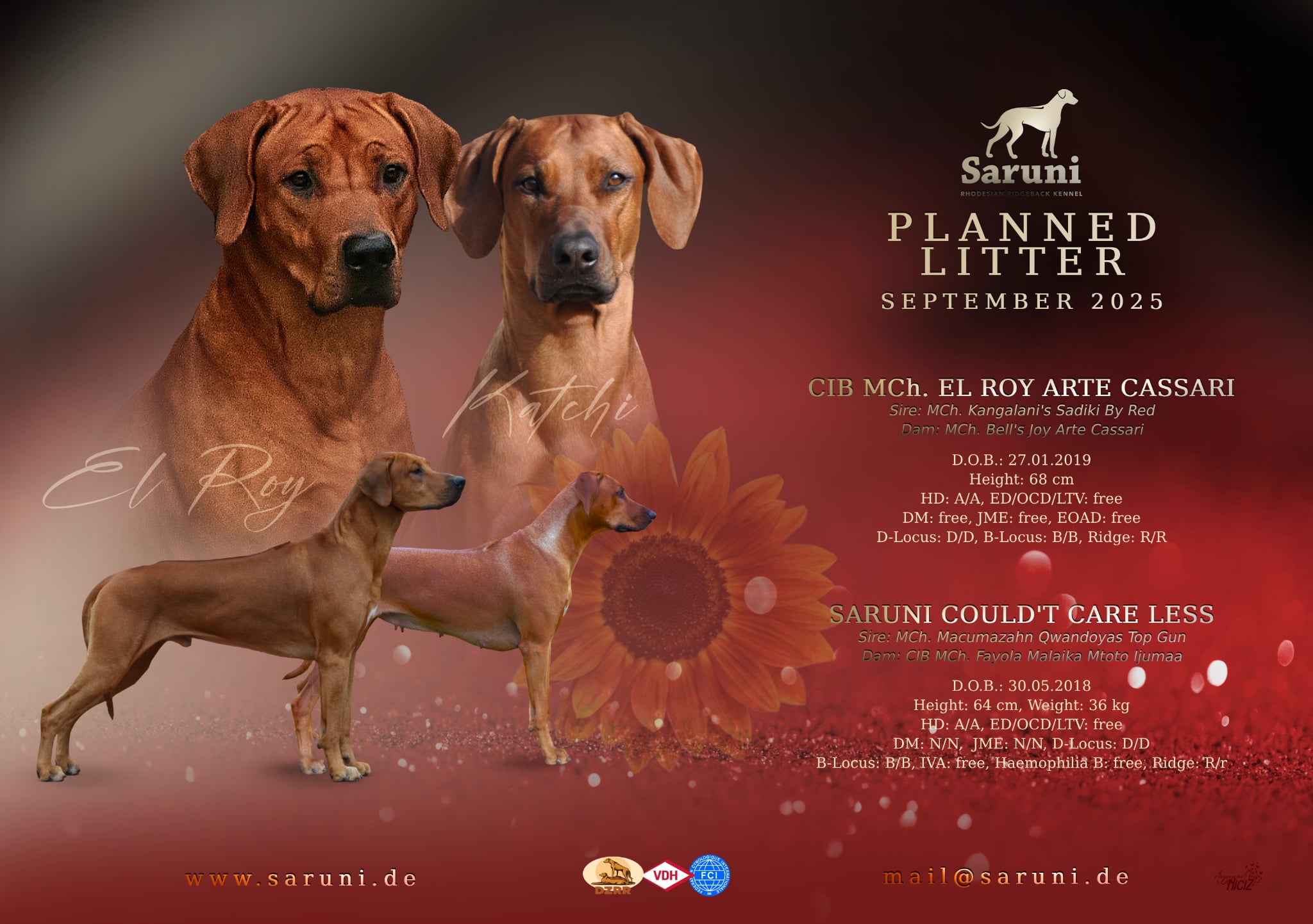 Bild laden wb_2931_Katchi2025.jpg