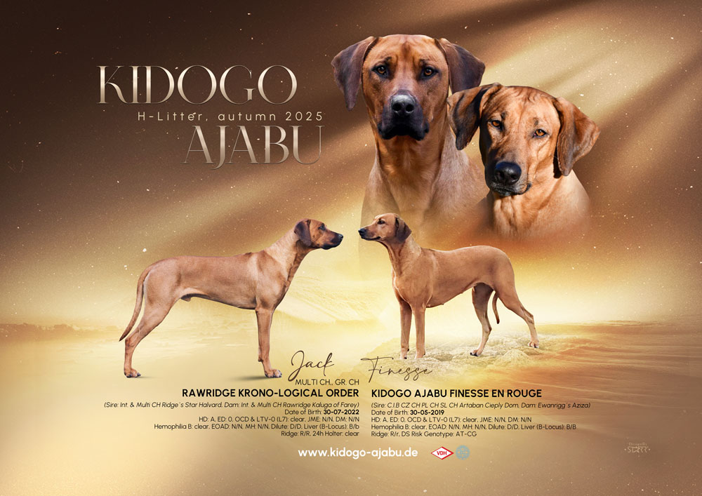 Bild laden wb_2937_announcementhlitter.jpg