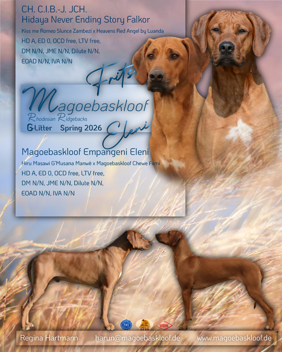 Bild laden 107_AnnouncementEleniFrits2026kl.jpeg