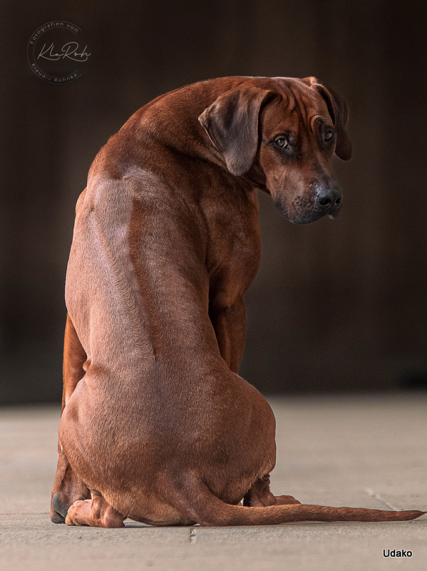 Bild laden 157_NashundJumi2001.jpg