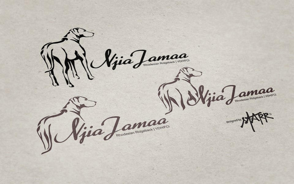 Bild laden 212_490014253_9536271409741925_5343709425476110702_n.jpg