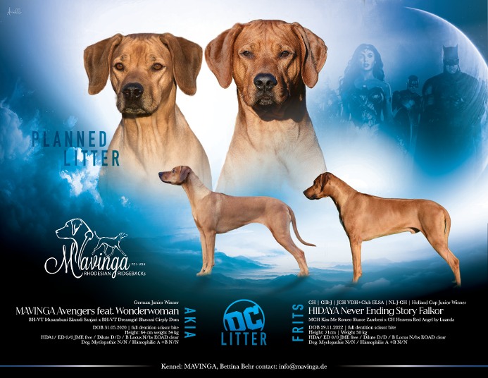 Bild laden 23_fritsundAkia.jpg