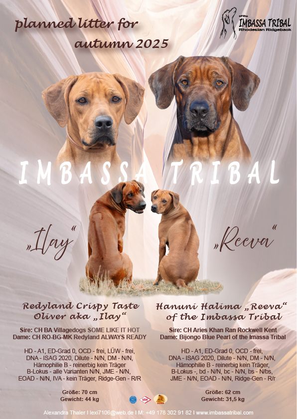 Bild laden 275_AnkuendigungReevaIlay2025.jpg