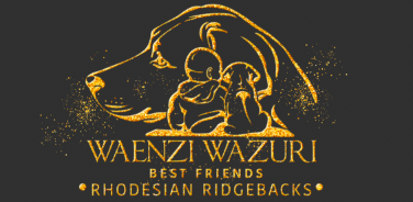 Bild laden 286_logogeckiggoldstaub33333372dpi.png