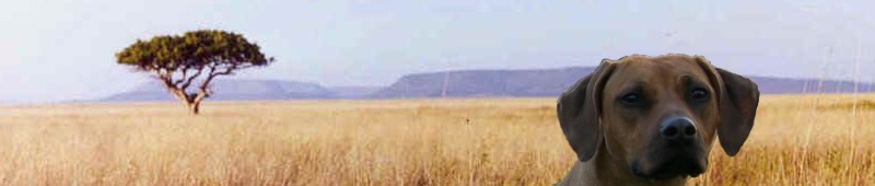 Bild laden 298_bannerKopie.jpg