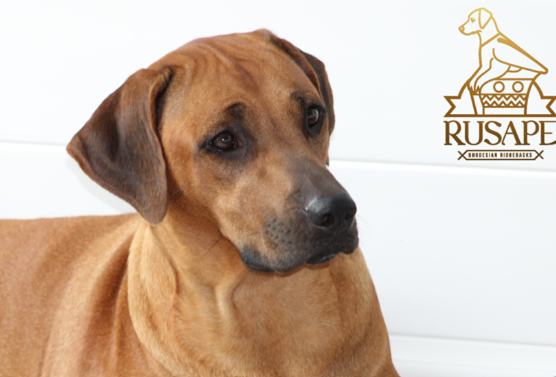 Bild laden 29_MamaRula.png