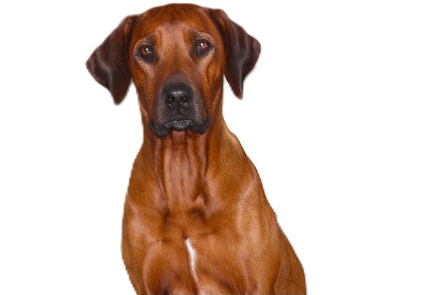 Bild laden 327_IMG20241025WA0005.jpg