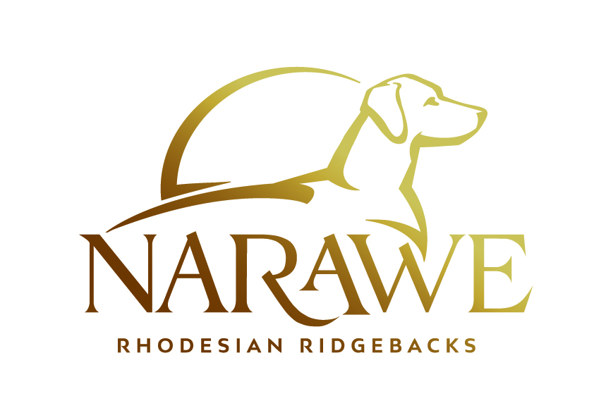 Bild laden 422_20505_STARR_LOGO_color.jpg