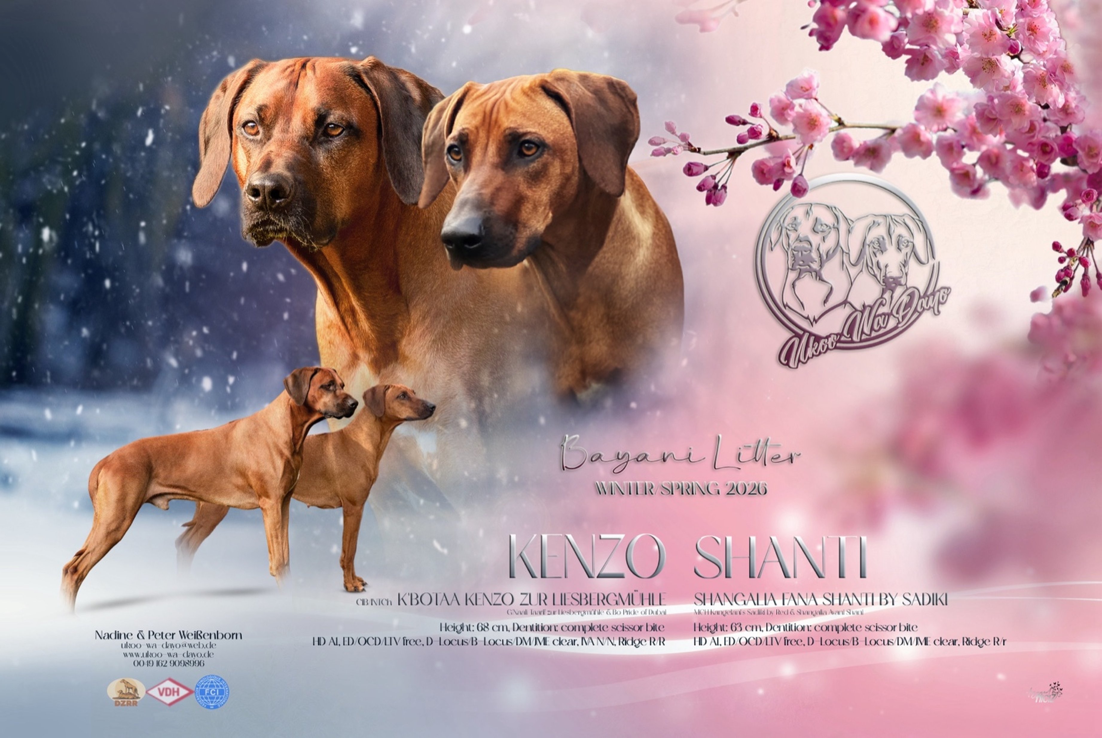 Bild laden 719_IMG_8847.jpeg