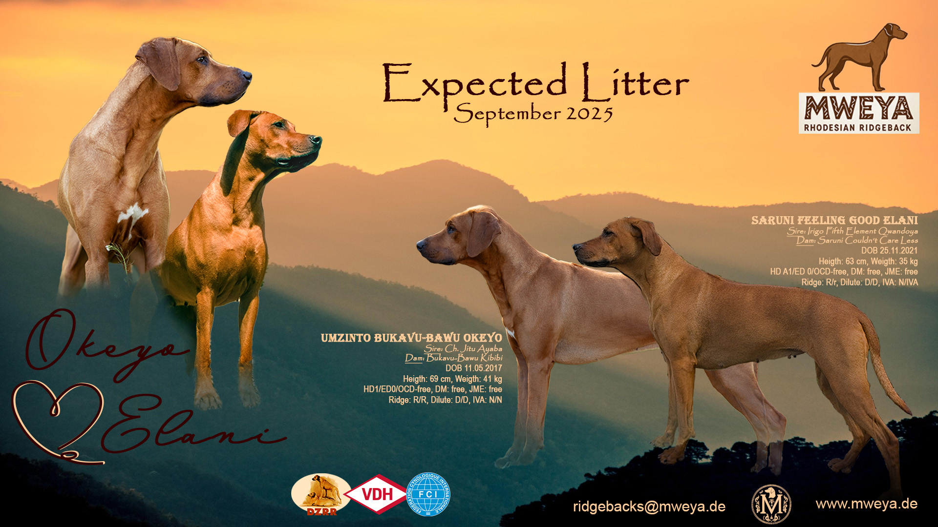 Bild laden 946_Mweya_ALitter_Elani_a_Okeyo_RRidgeback.jpg