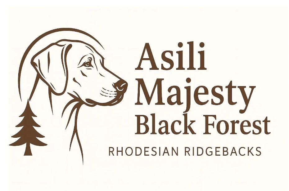 Bild laden 958_1000209929.jpg